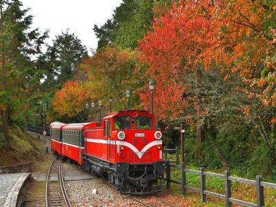  高雄+阿里山+台北精選 5天團#周年指定日期提升八里福朋喜來登溫泉酒店 旗津半島(包渡輪體驗)~ 嘉義-阿里山風景區(小火車暢遊)  *再減$160 憑指定中銀咭推廣碼 《BOC160A2》