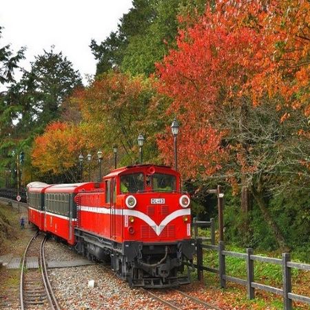  高雄+阿里山+台北精選 5天團#周年指定日期提升八里福朋喜來登溫泉酒店 旗津半島(包渡輪體驗)~ 嘉義-阿里山風景區(小火車暢遊)  *再減$160 憑指定中銀咭推廣碼 《BOC160A2》