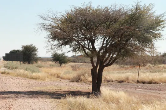 卡拉哈里沙漠盆地