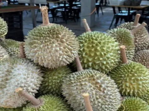 馬六甲果園Eco Do Bem Farm