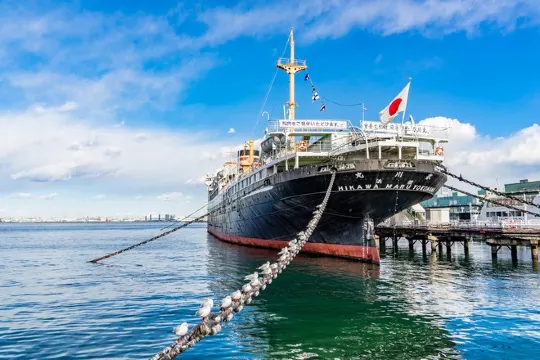 日本郵船冰川丸