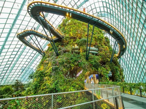 Gardens by the Bay濱海灣花園~ Cloud Forest