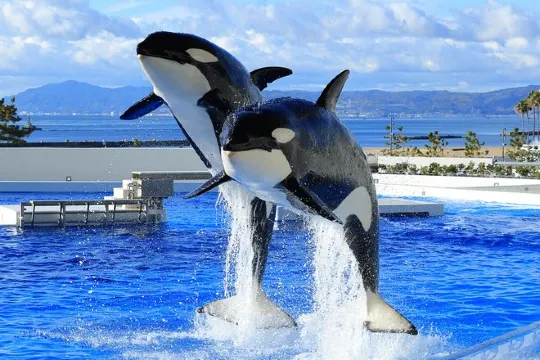 神戶須磨海洋世界