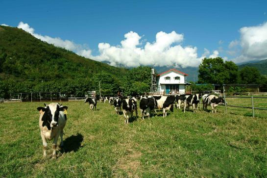 瑞穗牧場