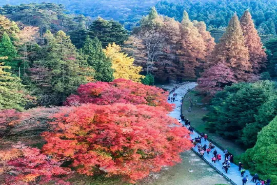廬山植物園秋景