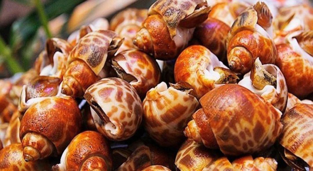 酒店豐富海鮮自助晚餐