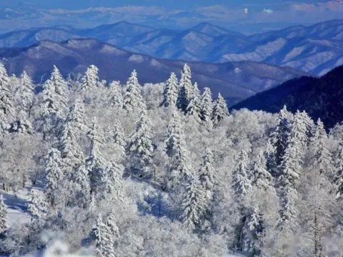 龍江第一高峰山頂霧淞