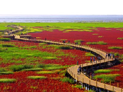 【季節限定】楓紅如畫🍁東北金秋追楓8天純玩之旅 賞秋勝地【關門山、天橋溝、五女山、紅海灘】丸都山城、中朝國門、河口景區、鴨綠江斷橋、乘船遊鴨綠江、虎山長城、隆重呈獻永安尊享《遼河聚福‧非遺漁家宴》