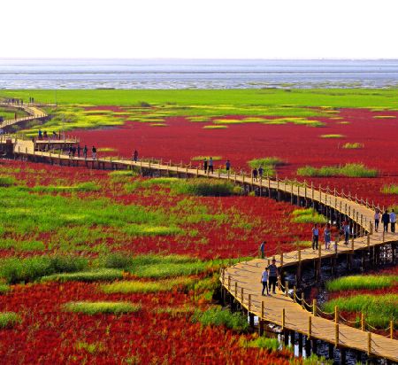 【季節限定】楓紅如畫🍁東北金秋追楓8天純玩之旅 賞秋勝地【關門山、天橋溝、五女山、紅海灘】丸都山城、中朝國門、河口景區、鴨綠江斷橋、乘船遊鴨綠江、虎山長城、隆重呈獻永安尊享《遼河聚福‧非遺漁家宴》