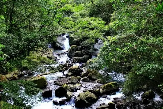 滿月圓森林遊樂區