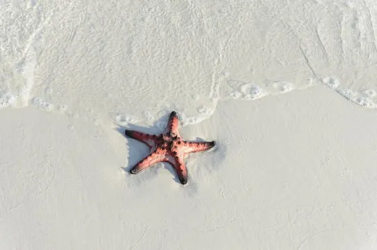 星星沙灘