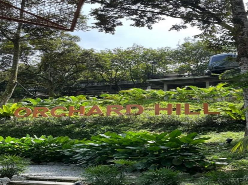 果園~ Orchard Hill