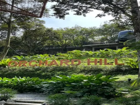 果園~ Orchard Hill