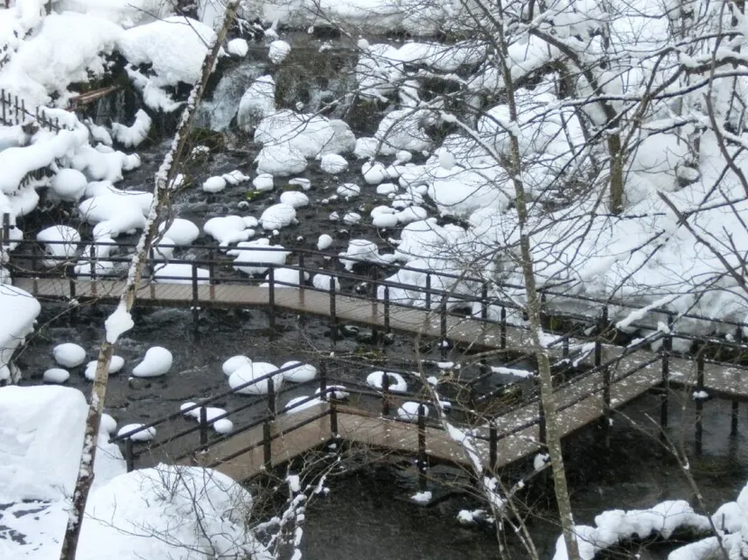 京極湧泉名水公園