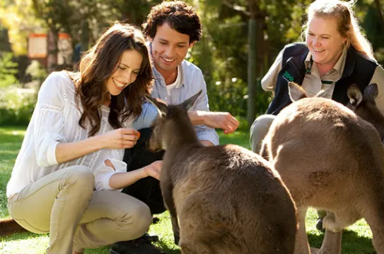 Healesville Sanctuary 野生動物保護區