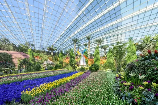 Flower Dome Floral Display
