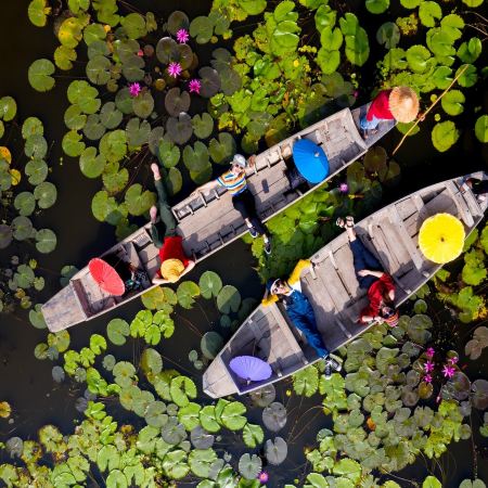 曼谷+芭堤雅5天玩樂之旅 《季節限定》全球最壯觀~Nasatta 燈光節(泰服體驗)、潮拍"紅蓮花海"