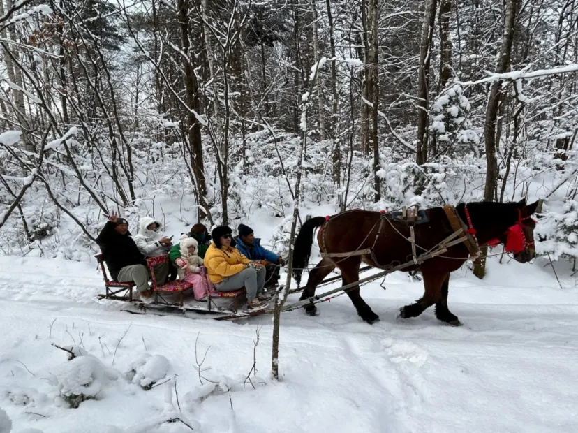 長白山仙峰雪嶺景區