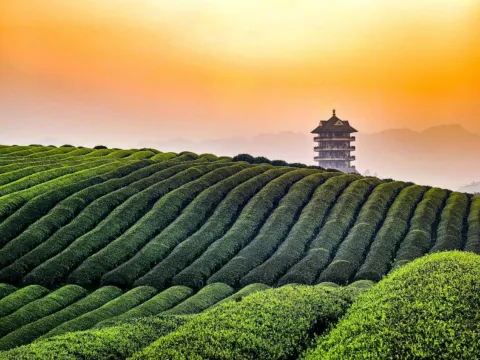 湄潭中國茶海景區