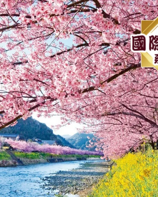 東京、伊豆5天早春賞櫻溫泉之旅【嚴選宿泊】《國際品牌》 1晚伊豆修善寺Marriott溫泉、1晚東京新宿Keio Plaza及2晚成田Hilton酒店、東京近郊最早盛開的櫻花及梅花~河津櫻花、熱海梅園