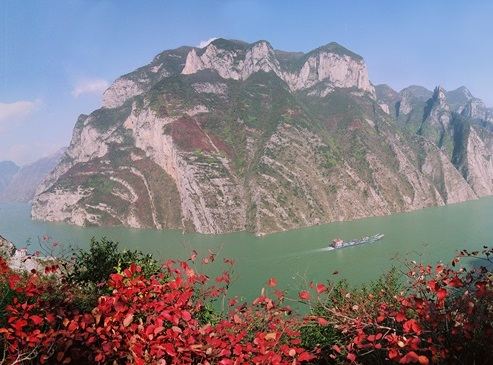 三峽紅葉