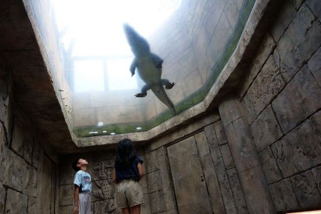 沖繩兒童王國動物園