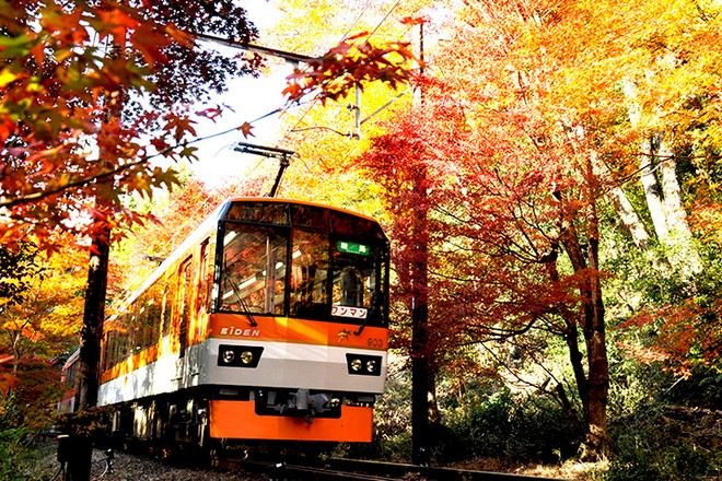 叡山紅葉列車