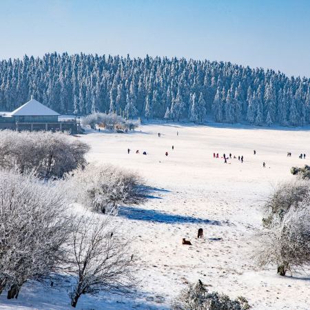 【5鑽】【聖誕限定🎄】重慶、武隆浪漫雪景❄️5天純玩高鐵團 《世界自然遺產》武隆、仙女山國家森林公園、乘船夜遊兩江、大型馬戲雜技表演《極限快樂2》、長江索道飛躍長江、李子壩輕軌穿樓觀景平台