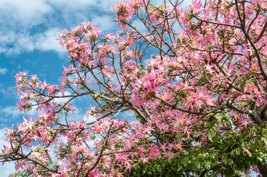 翰林湖農業公園