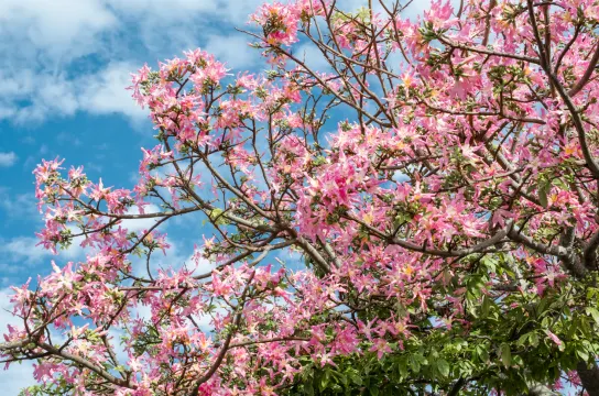 翰林湖農業公園
