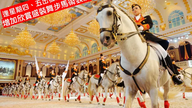 盛裝舞步馬術表演