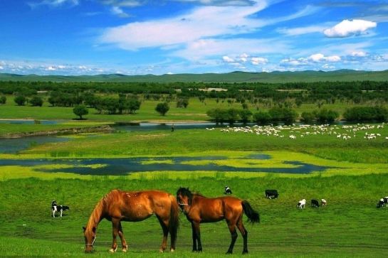 希拉穆仁大草原