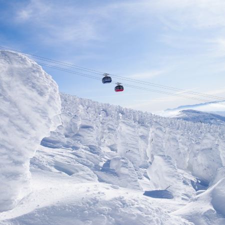 東北、東京 冬日秘景7天溫泉之旅 「日本三大樹冰」八甲田山樹冰奇景、「世界文化遺產」日光東照宮、「米芝蓮2星級」奧入瀨溪流、「日本第一美溪」嚴美溪、釜淵瀑布