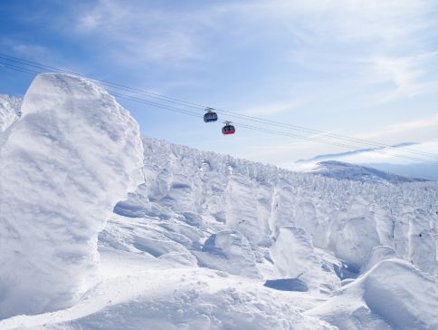 東北、東京 冬日秘景7天溫泉之旅 「日本三大樹冰」八甲田山樹冰奇景、「世界文化遺產」日光東照宮、「米芝蓮2星級」奧入瀨溪流、「日本第一美溪」嚴美溪、釜淵瀑布