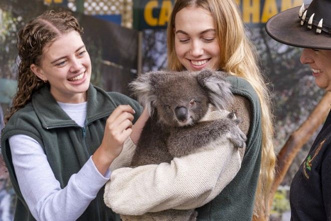 卡弗沙姆野生動物園