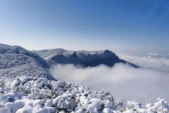 金佛山國家森林公園