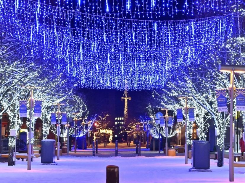 旭川買物公園冬之illumination