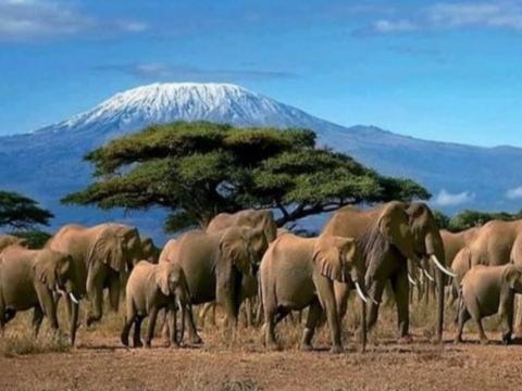 安布斯利國家公園