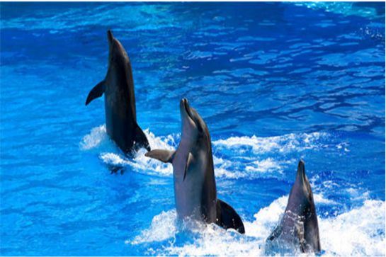 天柱山歡樂海洋大世界