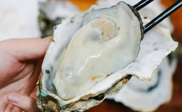 肥美橫琴生蠔