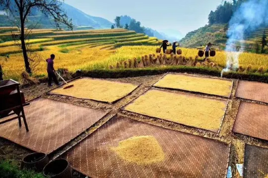 紫鵲界秦人梯田