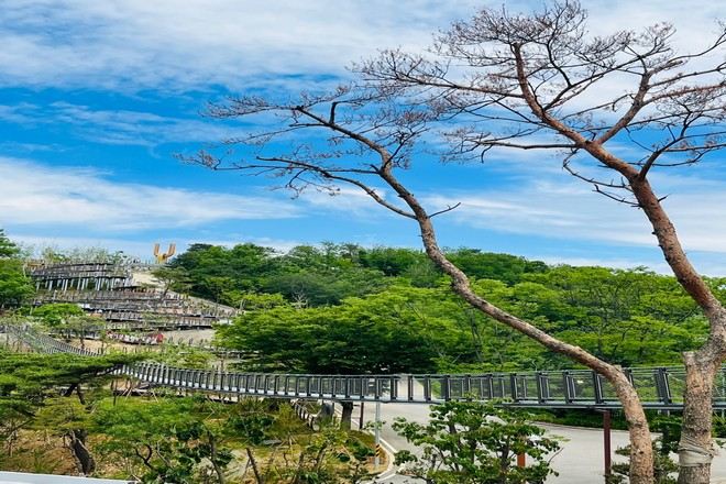 愛妓峰和平生態公園  懸索吊橋