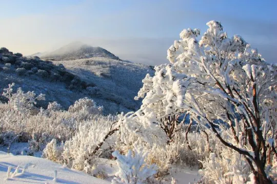 神農架國家森林公園