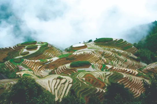 龍脊梯田