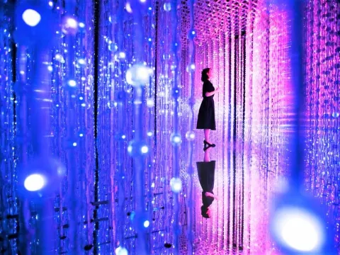 藝術科學博物館