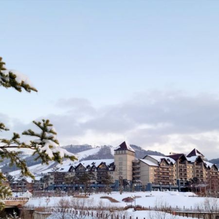 平昌+首爾5天冬日豪遊之旅 ※保證2晚 Alpensia Resort Pyeong Chang +Alpensia冬日滑雪體驗、 發旺山觀光纜車體驗~Monapark Skywalk、大關嶺天空牧場