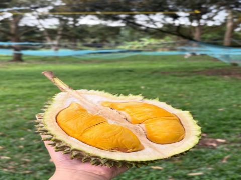 馬六甲果園Eco Do Bem Farm