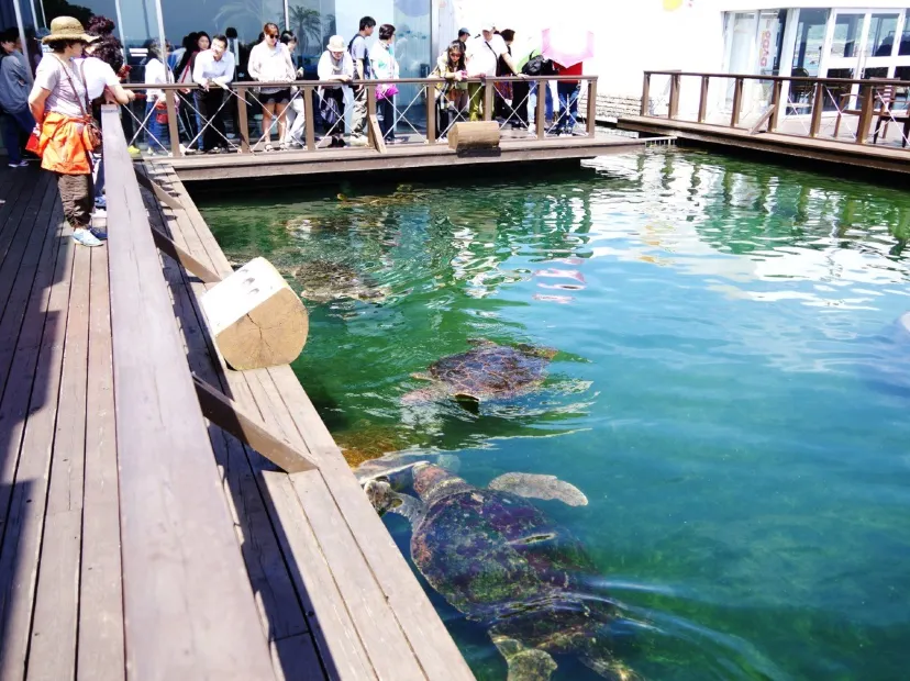 串本海中公園