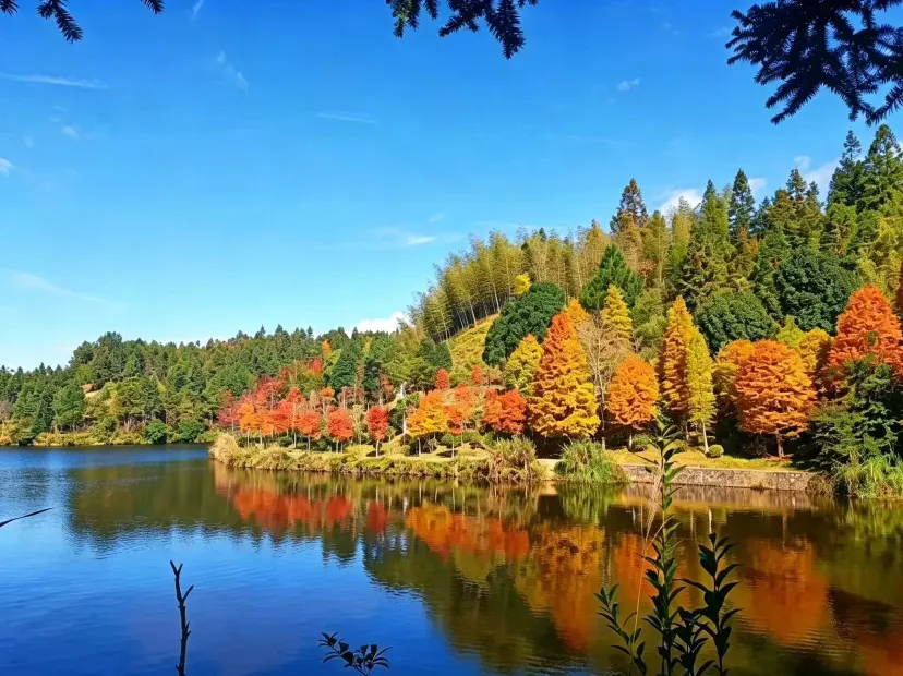 龍岩古田五龍湖~秋季