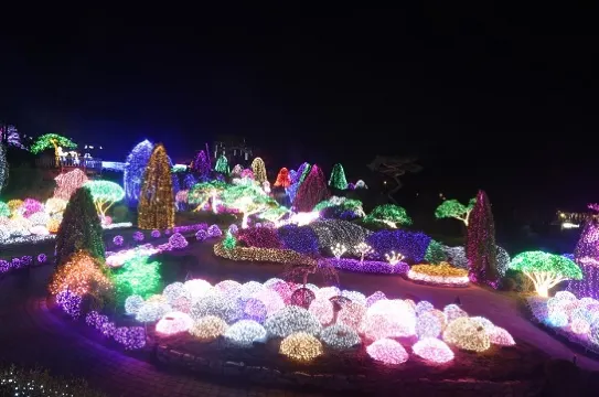 晨靜樹木園(五色星光庭園展)